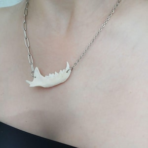 bone necklace.  gothic necklace.  necklace made of bones.  necklace and mink jaws