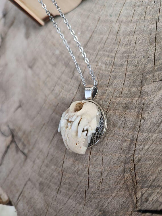 Mink Jaw Bone Necklace - Gothic Jewelry - Etsy