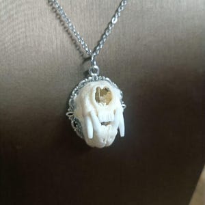 May include: A silver chain necklace with a small, white skull pendant. The skull has a detailed design with visible teeth and a hollow eye socket.