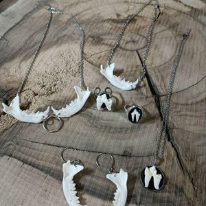 bone necklace.  gothic necklace.  necklace made of bones.  necklace and mink jaws.set of bone embellishments.  six embellishments