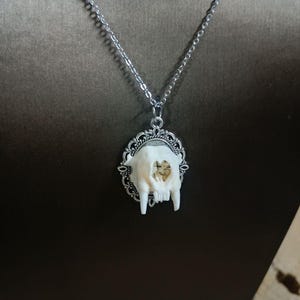 Puede incluir: Un collar de cadena de plata con un colgante de marco adornado de plata que presenta una pequeña calavera de animal blanco.