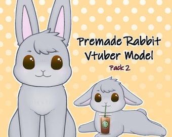 Rabbit Vtuber Model Pack 2 | 2D Model | Fully Rigged