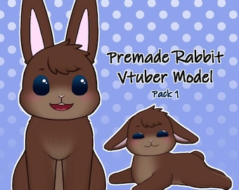 Rabbit Vtuber Model Pack 1 | 2D Model | Fully Rigged