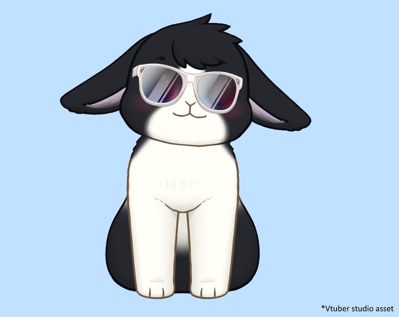 Rabbit Vtuber Model Pack 1 | 2D Model | Fully Rigged - Etsy