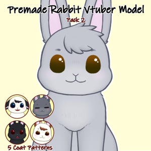 Rabbit Vtuber Model Pack 2 | 2D Model | Fully Rigged