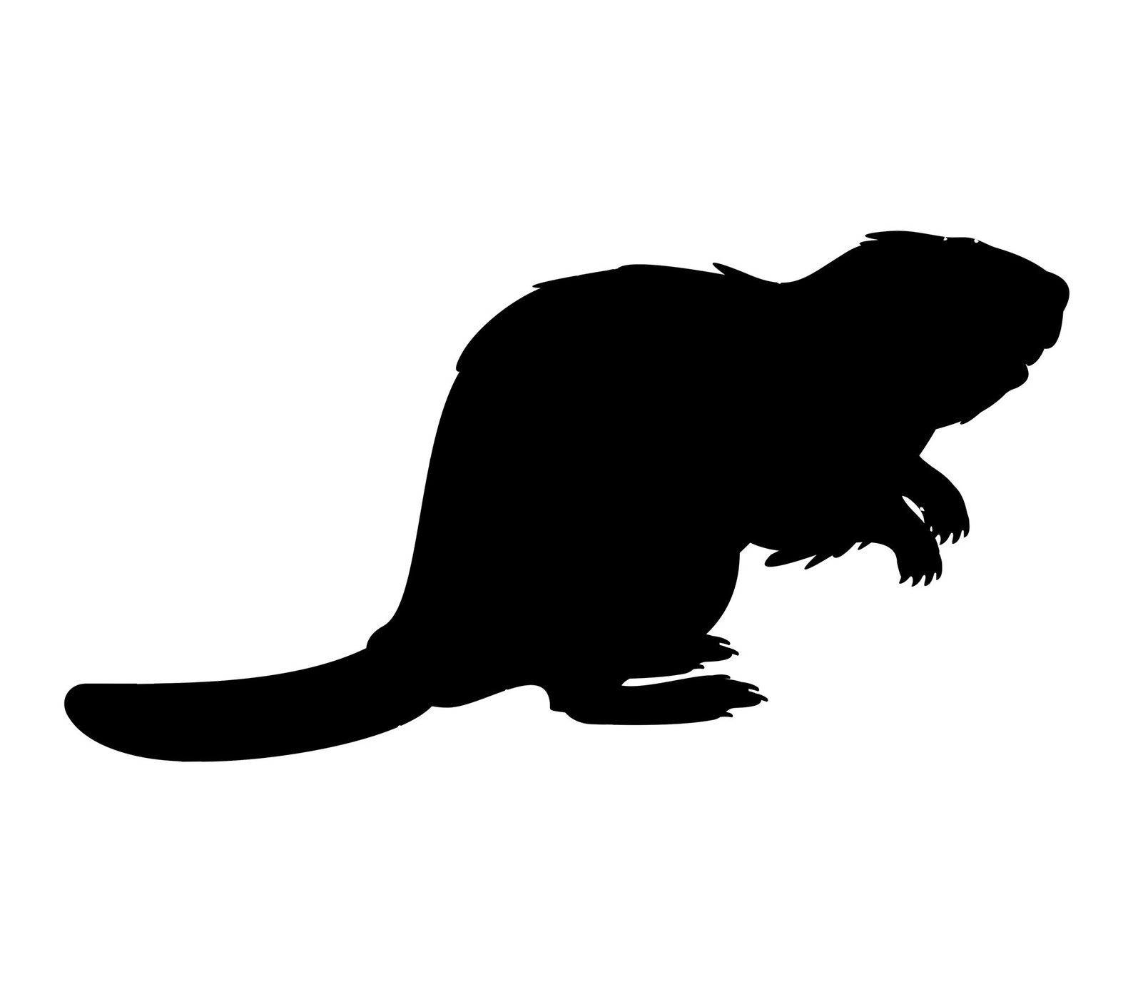 Beaver Svg Beaver Clipart Etsy