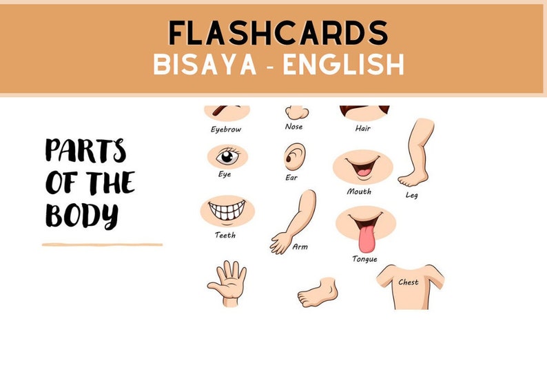 Bisaya Cebuanoenglish Flashcards Parts of the Body Video Etsy