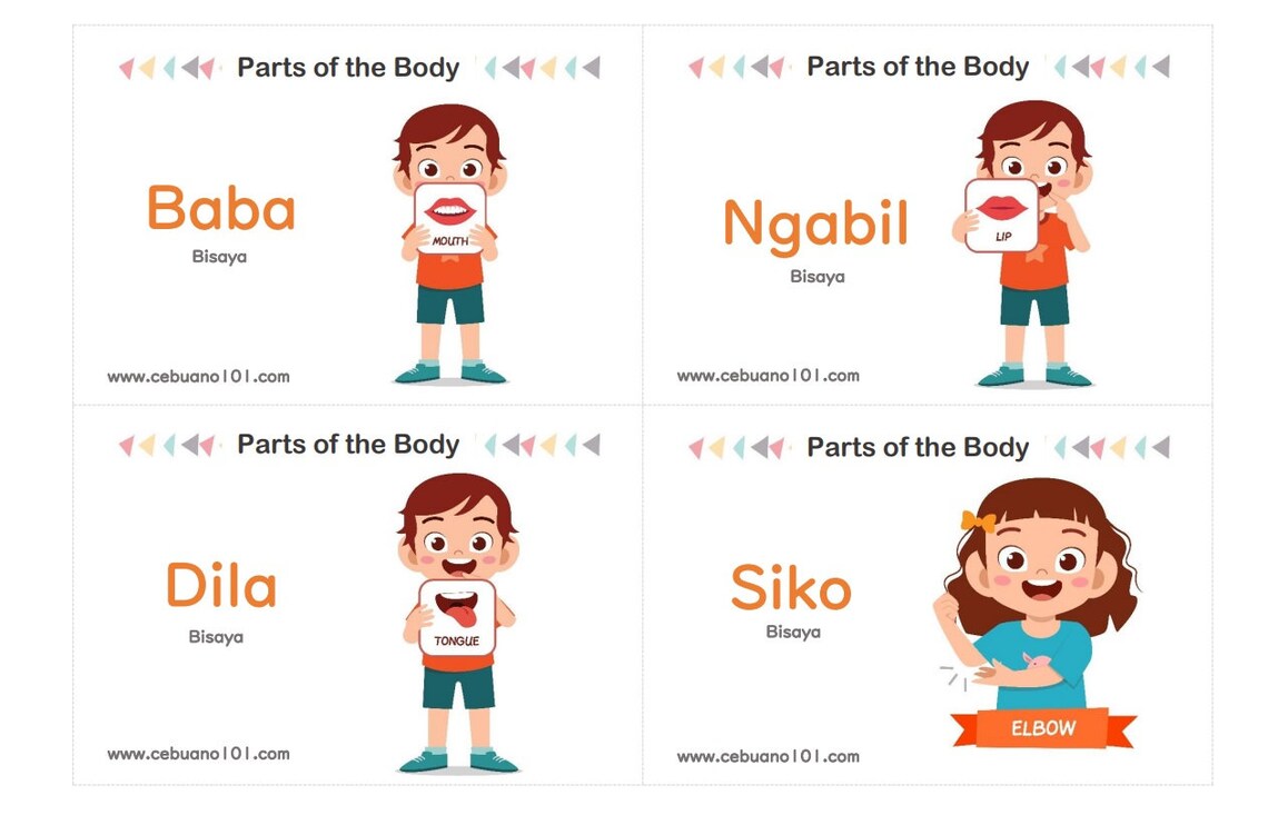 Bisaya Cebuanoenglish Flashcards Parts of the Body Video Etsy