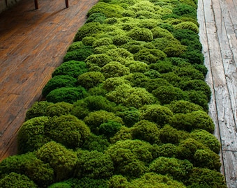 May include: A rectangular rug made of vibrant green moss, creating a textured, natural appearance. The rug's varying shades of green add depth and dimension, resembling a lush, verdant landscape. The rug is placed on a wooden floor.