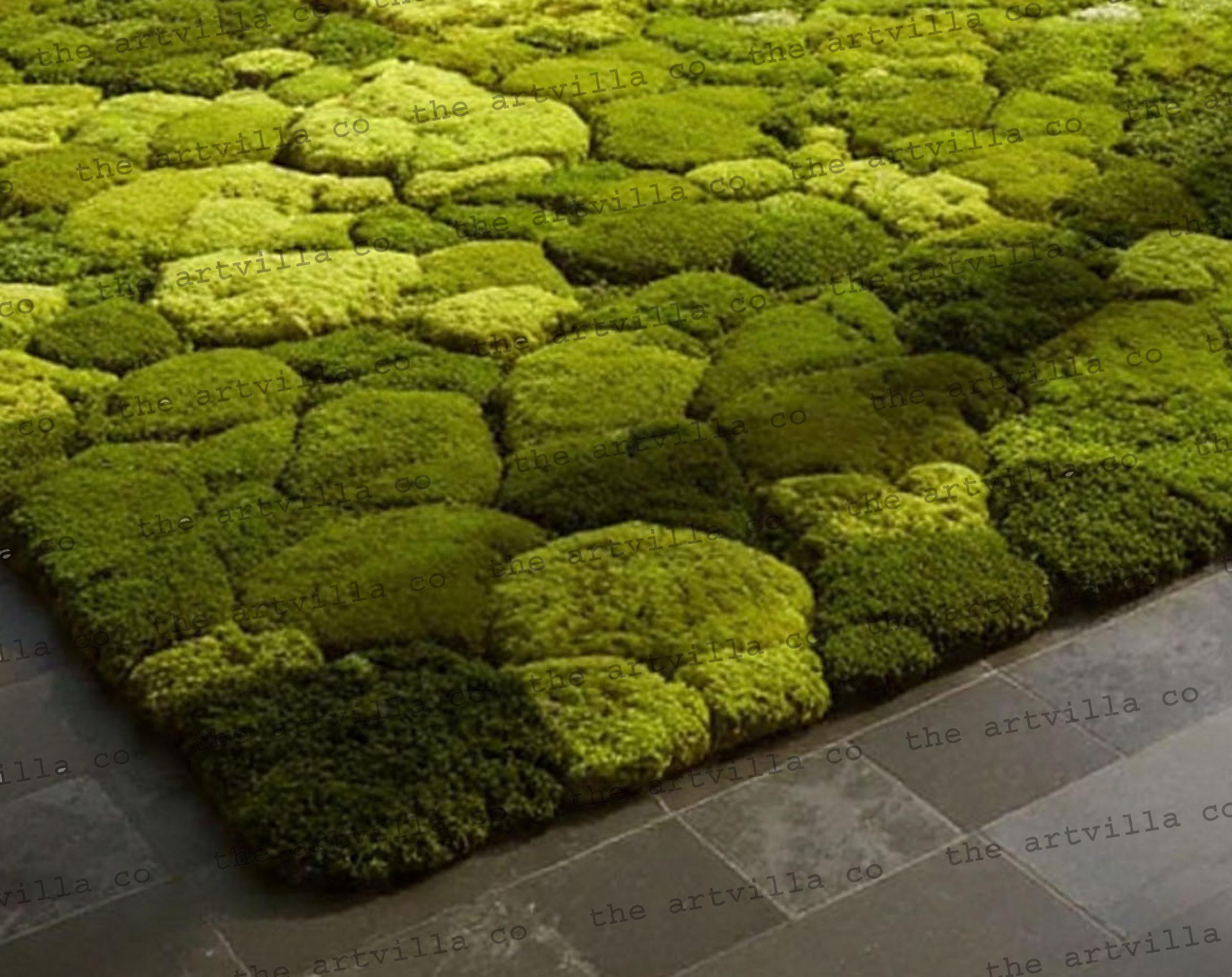 Wool Hand-tufted Botanical Rug Handmade Round Moss Rug Tufted Green ...