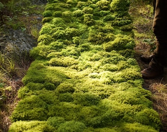 Green Moss Tufted Rug: Botanical Biophilic Home Décor runner rug