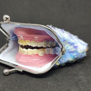 Toothy coin purse