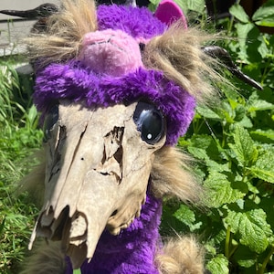 May include: A purple plush toy with a skull head and a pink furry face. The toy has long brown hair and horns.