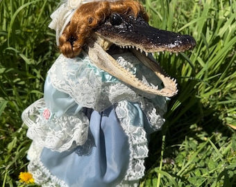 Taxidermy Alligator, Valloween, Valentines Day, Porcelain Doll
