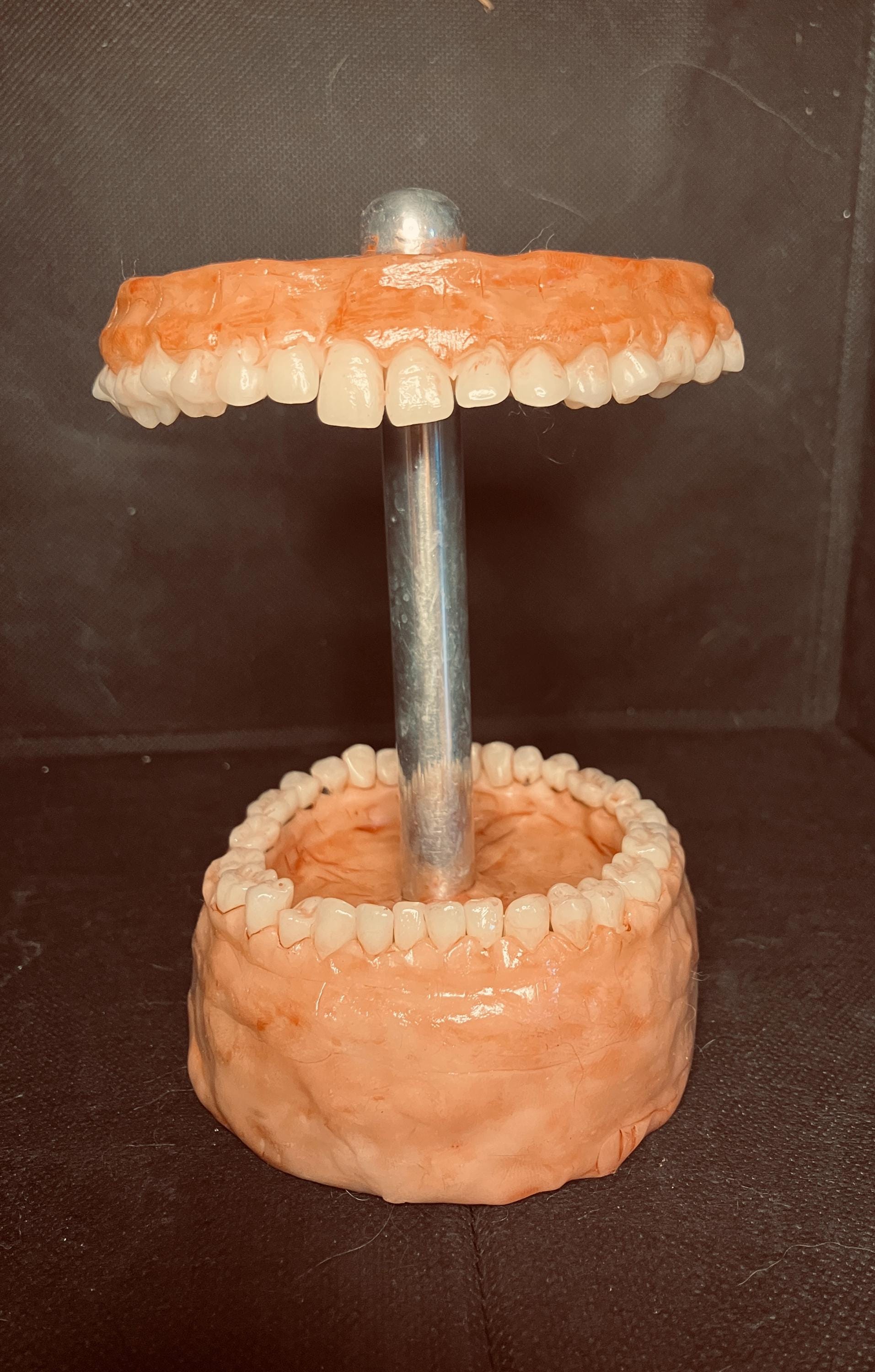 Tooth Retuch Toothy Tooth Brush Holder - Etsy