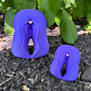Vulvas & Clitoris Anatomy 3D Printed Models for Sex Education and Body Literacy.