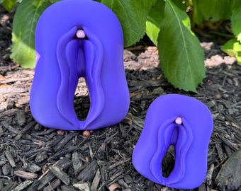 Vulvas & Clitoris Anatomy 3D Printed Models for Sex Education and Body Literacy.