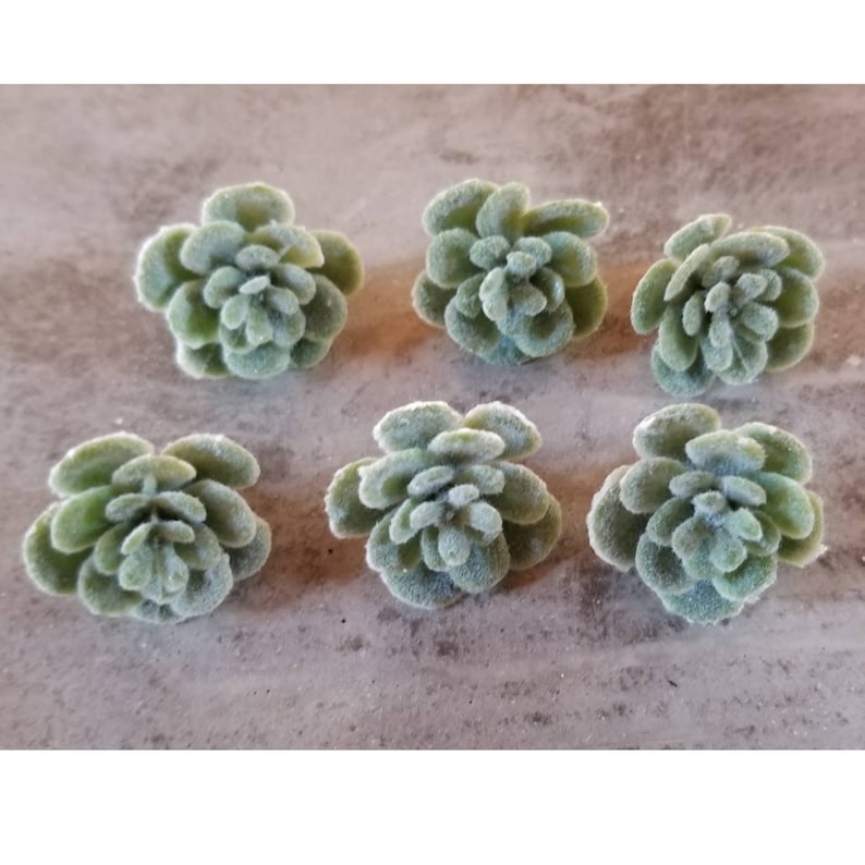 May include: Six artificial succulent plants in a light green color. The succulents are arranged in a circular pattern on a gray surface.