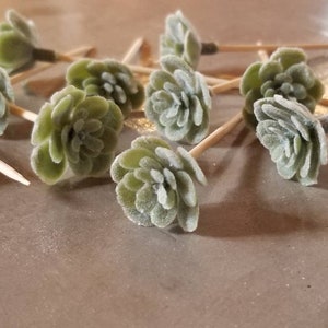 Succulent Party Toothpicks: Cake & Charcuterie Board Toppers (12 Piece)