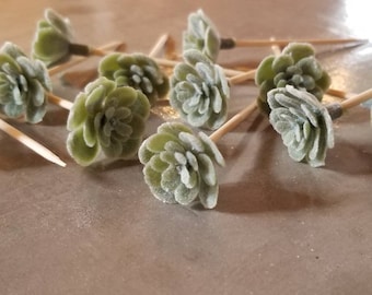 Succulent Party Toothpicks: Cake & Charcuterie Board Toppers (12 Piece)