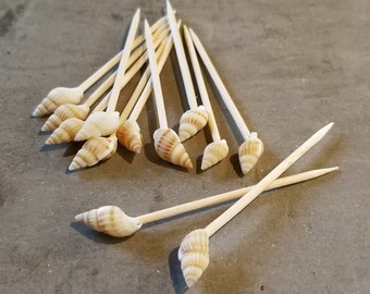 12 piece Sea Shell Party Toothpicks/Charcuterie Board/Cake and Cupcake Topper (weddings, birthdays, beach, mermaid, pool, & summer events)
