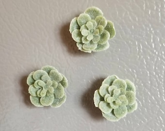Mini Faux Succulent Trio Magnet Set (great for kitchen refrigerator, dorm rooms, lockers, office, and more)