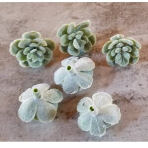 May include: Six small, green, felt succulent flower embellishments. The flowers are all different shapes and sizes, but they all have a similar fuzzy texture.