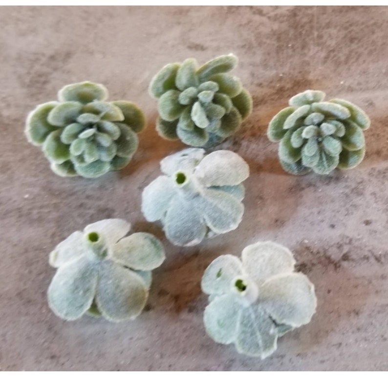 May include: Six small, green, felt succulent flower embellishments. The flowers are all different shapes and sizes, but they all have a similar fuzzy texture.