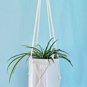 May include: White macrame plant hanger with a white ceramic pot and a green plant hanging from a light blue wall.