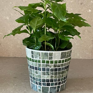 Flower pot