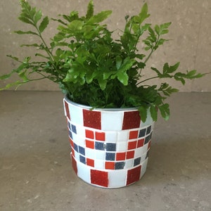 Puede incluir: Una planta de helecho verde en una maceta de cerámica blanca con azulejos de mosaico rojo y azul.