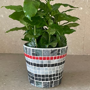 Op de afbeelding: Een groene plant met weelderige bladeren die groeit in een mozaïekpot. De pot is gemaakt van kleine vierkante tegels in tinten zwart, wit en grijs, met een rode streep rond de bovenkant.