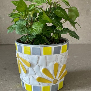 Peut inclure: Une petite plante verte en pot dans un pot en céramique blanc avec des carreaux de mosaïque jaunes et gris. Le pot a un motif de marguerite.