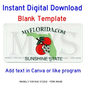 Florida FL License - Vanity Plate Blank Template Digital Printable Download Sublimation