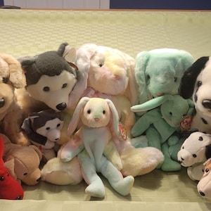 Beanie Buddy and Baby Set