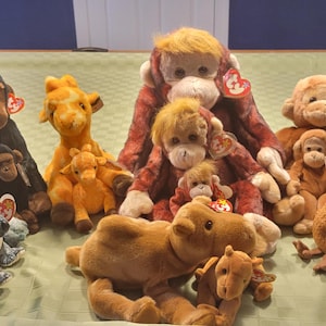 Beanie Buddy and Baby Set