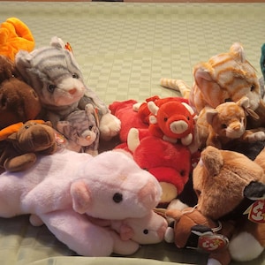 Beanie Buddy and Baby Set