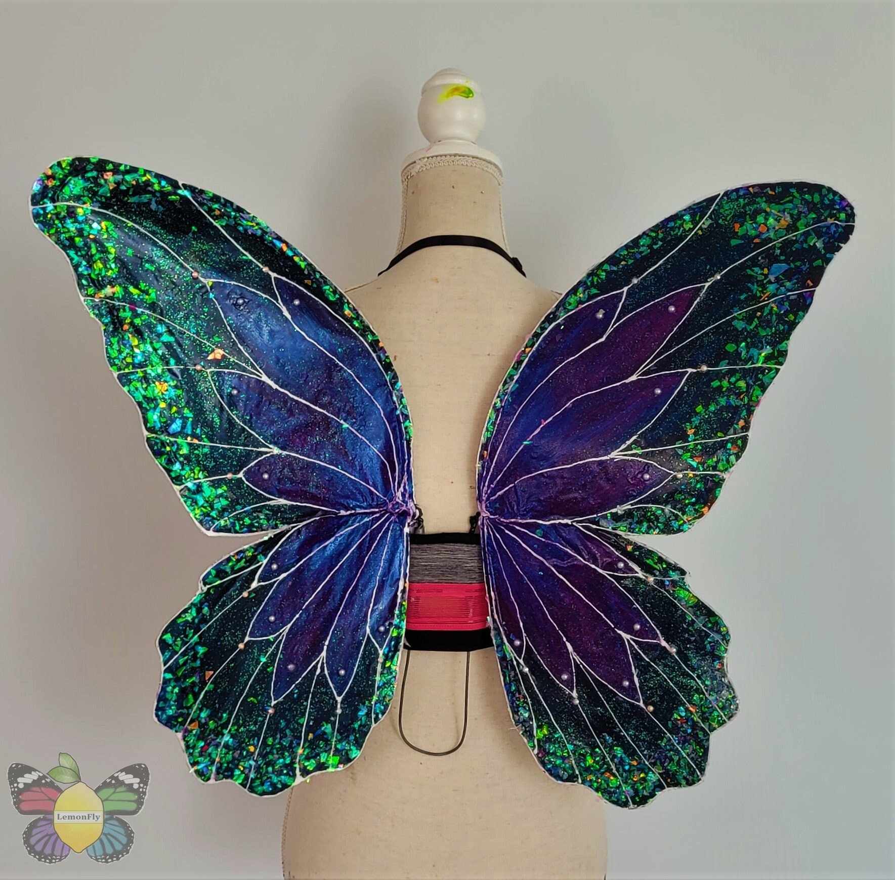Tinkerbell Wings Costume
