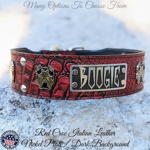 Personalized Leather Dog Collar, Leather Dog Collar for Bullys, Name Plate Leather Studded Collar, Personalized Bully Leather Collar, 2.5&quot;