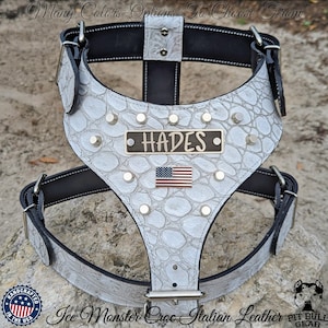 Leather Dog Harness, Personalized Name Plate Leather Harness, Leather Harness with USA Flag, Studded Leather Dog Harness, Handcrafted in USA