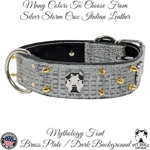 Spiked Leather Dog Collar: American Bully Concho, 2&quot; Wide