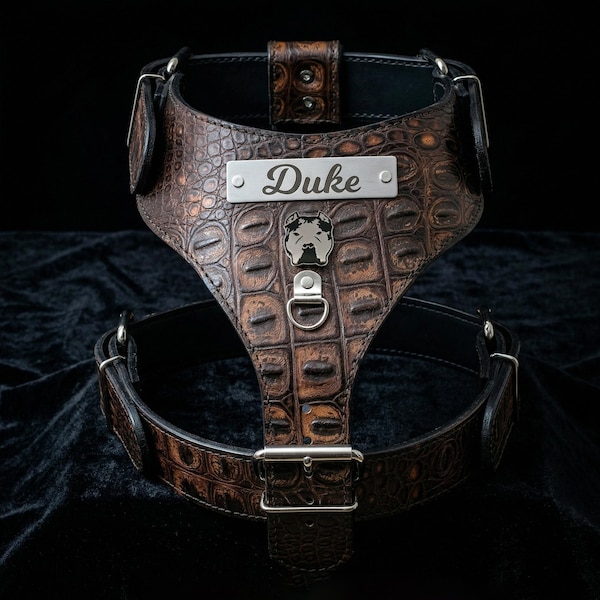 Custom Italian Leather Bully Dog Harness, Personalized Nameplate, Large Breeds
