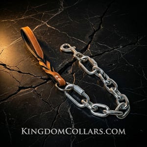 May include: A dog leash with a brown leather handle and a silver chain. The handle has a braided design and is attached to the chain with a metal clasp. The text "KINGDOMCOLLARS.COM" is at the bottom.