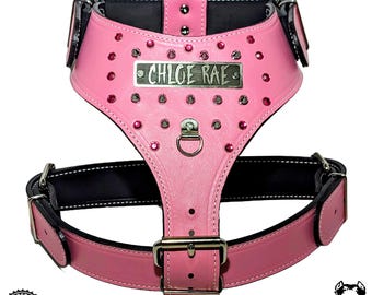 Leather Dog Harness, Custom Made Harness, American Made, Handmade Leather Dog Harness, Personalized Leather Dog Harness with Spikes and Gems