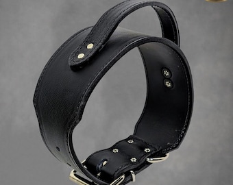 May include: A black leather collar featuring a wide band with a top handle, secured by a metal buckle and rivets. The design includes a Kingdom Collars logo in the top right corner and the text Blue Croc in the bottom right corner of the image.