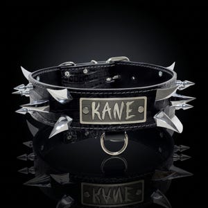 Spiked Leather Dog Collar, Custom Engraved Name Plate, Heavy Duty 2 Inch, Dragon Claw Spikes