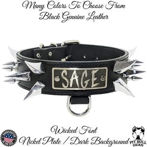 Spiked Leather Dog Collar: Custom Engraved Name Plate, Heavy Duty 2&quot; Wide