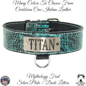 Leder Hundehalsband, personalisierte Namensschild Halsband, strapazierfähige Hundehalsband, starke Hundehalsband, personalisierte Namensschild Hundehalsband, 2 &quot;breit