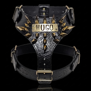 May include: A black harness with a textured crocodile-skin pattern, featuring gold-toned metal spikes and a central rectangular gold-toned nameplate engraved with the text HUGO. The harness includes adjustable straps with gold-toned metal buckles.
