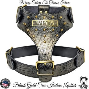 Spiked Leather Dog Harness: Custom Engraved Name Plate